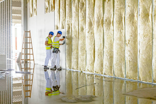 Best Commercial Insulation in Metairie, LA